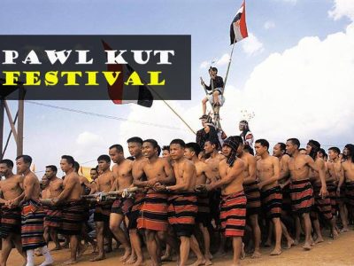 626c131b76cb6_Pawl-kut (1)