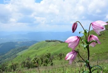 Screenshot 2025-11-22 111225