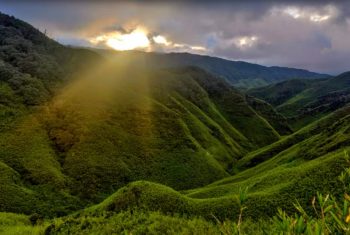 Screenshot 2025-11-22 210050